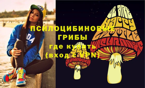 прущие грибы Алексеевка