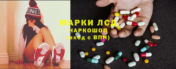 прущие грибы Алексеевка