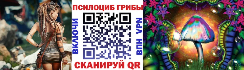 цена   Бабушкин  Псилоцибиновые грибы Psilocybine cubensis 